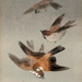 New Prints Gallery March 2023